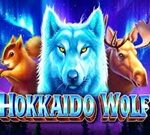 Hokkaido Wolf